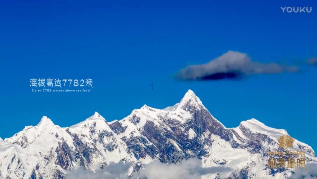 大眼蛙3